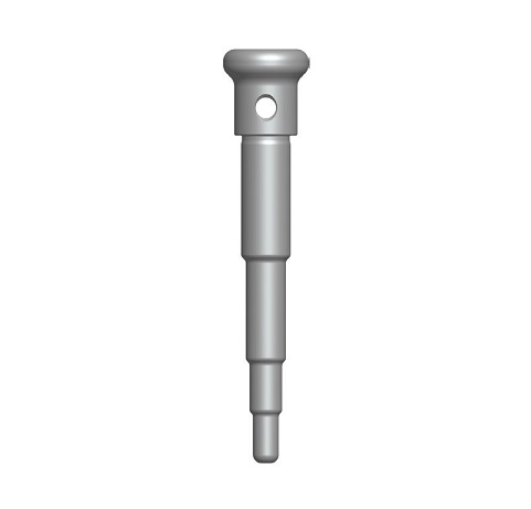 Фиксирующий пин, 19 мм DGAP10, Dentium (Ю.Корея)